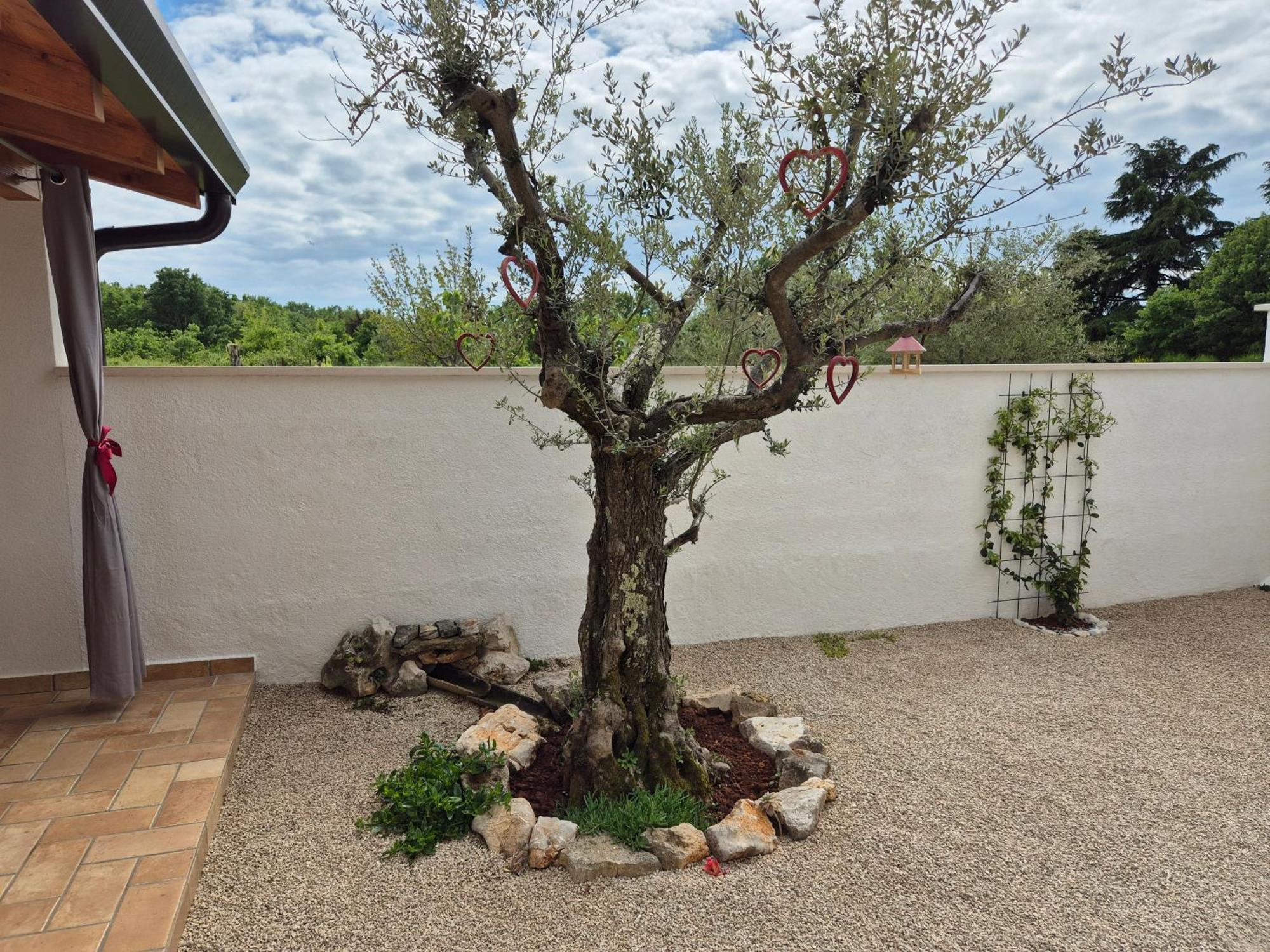 Apartment Vinja Porec - Privat Garden - Whirlpool 외부 사진