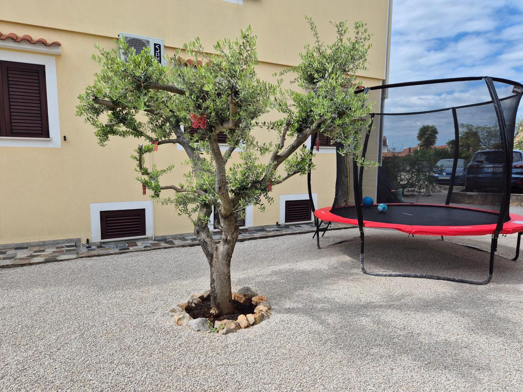 Apartment Vinja Porec - Privat Garden - Whirlpool 외부 사진